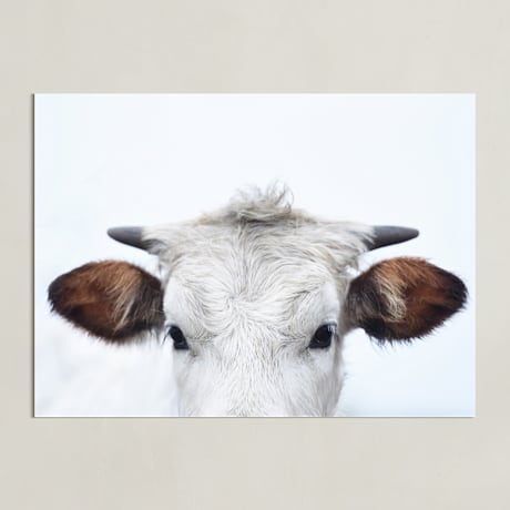 Limited Edition Fine Art Print 1