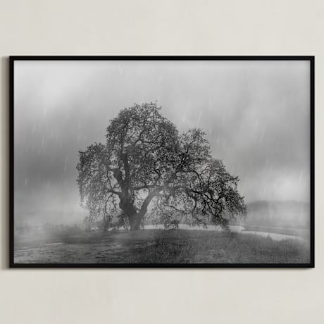 Limited Edition Fine Art Print 2