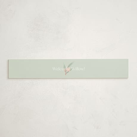 Baby Shower Belly Bands