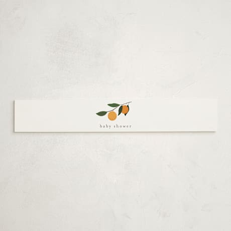 Baby Shower Belly Bands