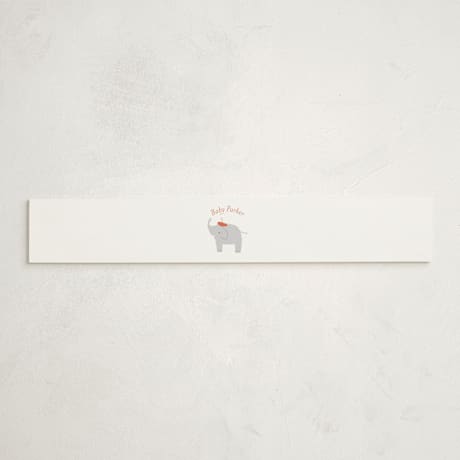 Baby Shower Belly Bands