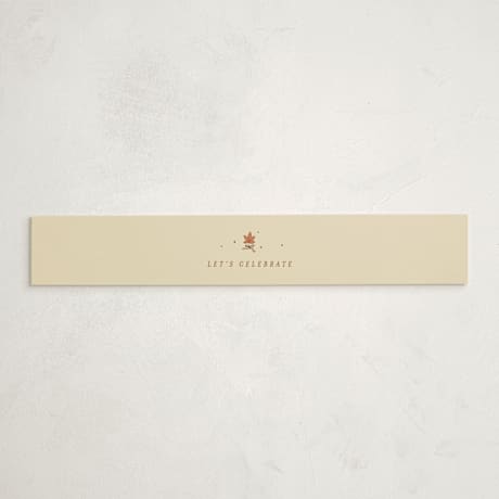 Baby Shower Belly Bands