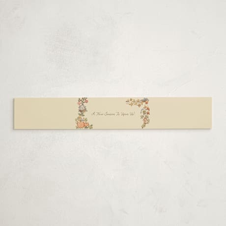 Baby Shower Belly Bands