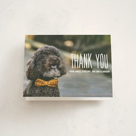 Birth Announcement Thank You Cards