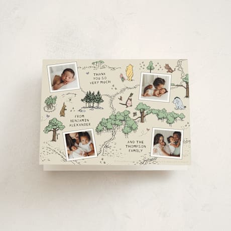 Birth Announcement Thank You Cards