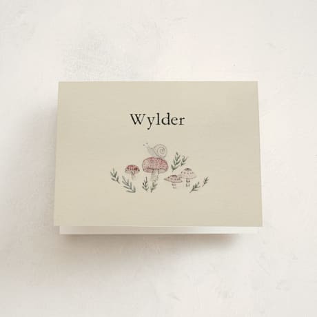 Birth Announcement Thank You Cards