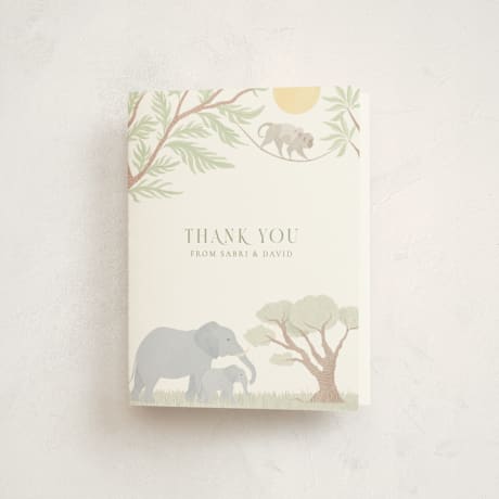 Baby Shower Thank You Cards