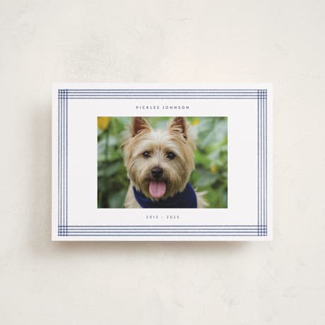 Petite Memorial Cards