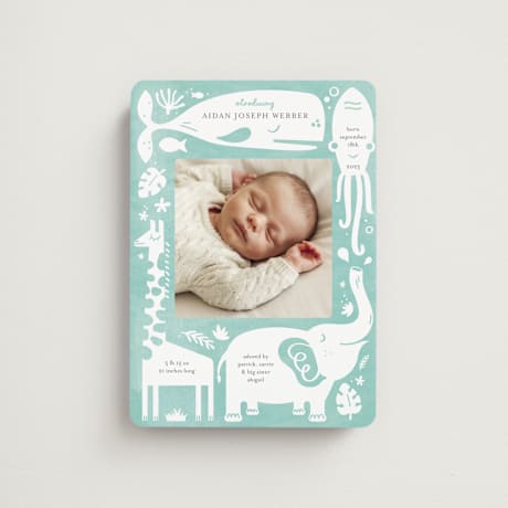 Birth Announcement Magnets