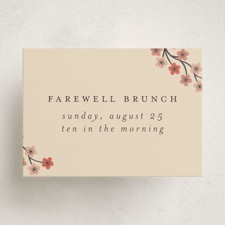 Mini Enclosure Cards