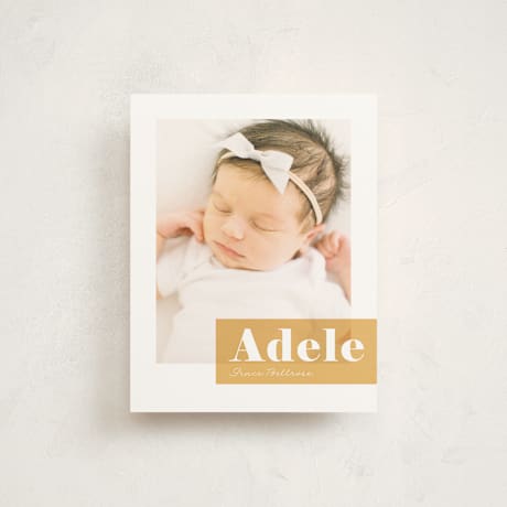 Birth Announcement Booklette Cards