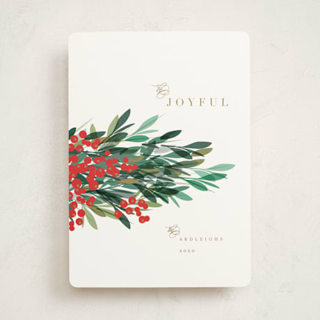 Holiday Non-Photo Cards