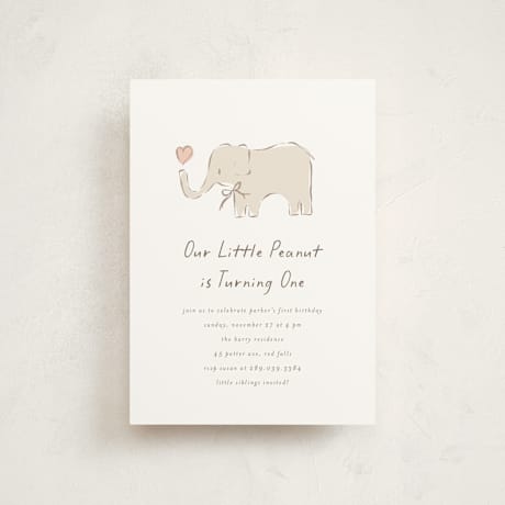 Petite Children's Birthday Party Invitations