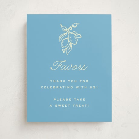 Baby Shower Party Signs