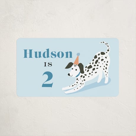 Children's Birthday Party Stickers