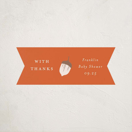 Baby Shower Stickers