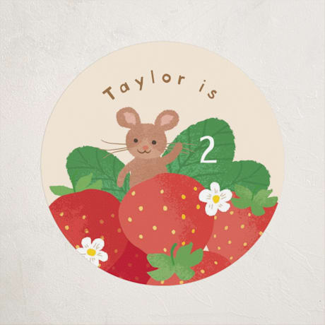 Children's Birthday Party Stickers