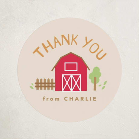 Children's Birthday Party Stickers