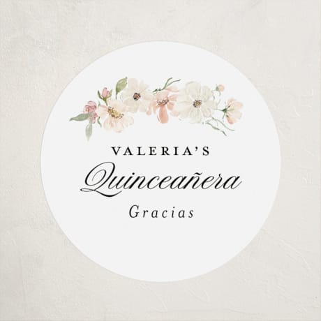 Children's Birthday Party Stickers