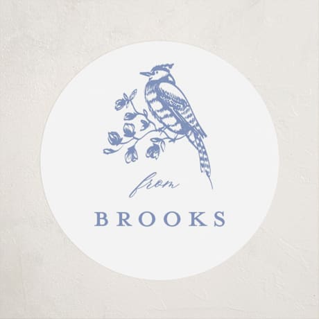 Children's Birthday Party Stickers