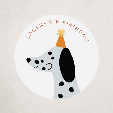 Children's Birthday Party Stickers