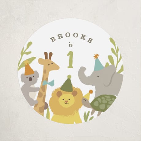 Children's Birthday Party Stickers