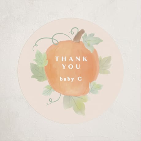 Baby Shower Stickers