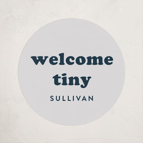 Baby Shower Stickers