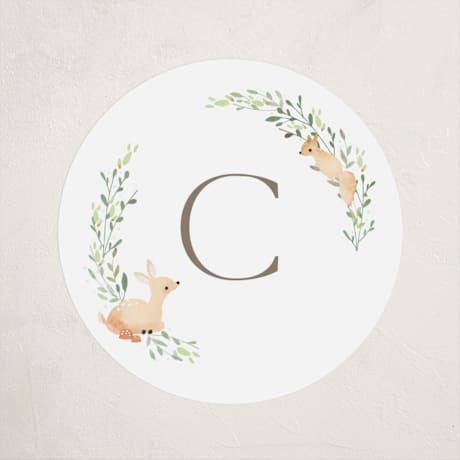 Baby Shower Stickers