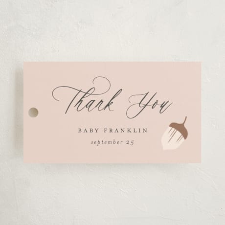 Baby Shower Favor Tags