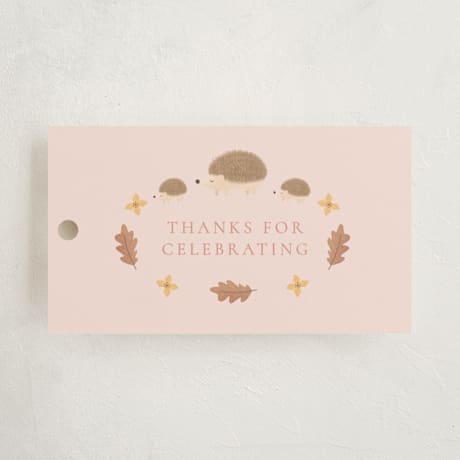 Baby Shower Favor Tags