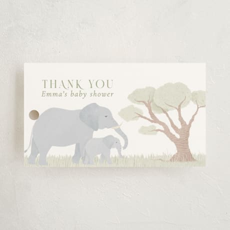 Baby Shower Favor Tags