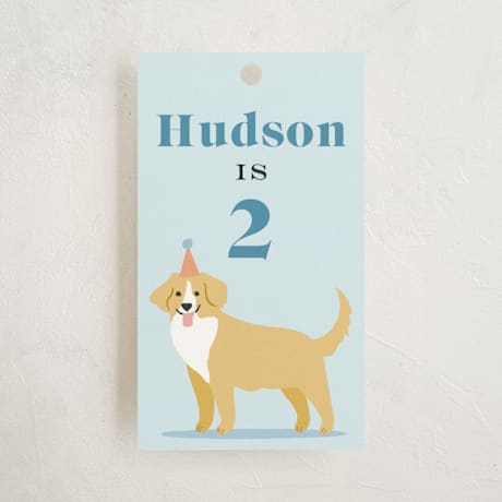 Children's Birthday Party Favor Tags