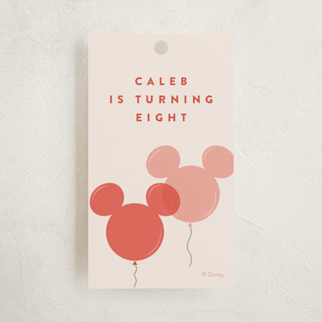 Children's Birthday Party Favor Tags