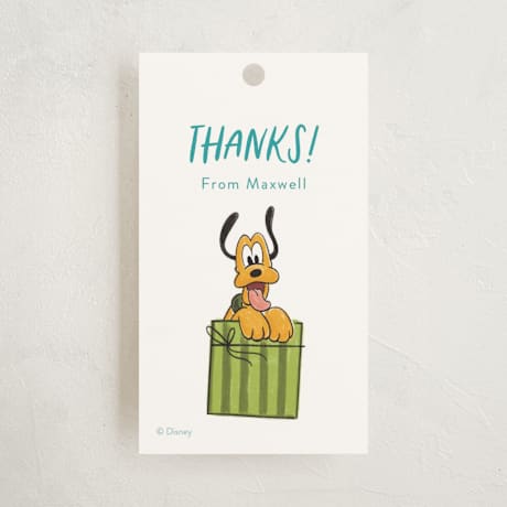 Children's Birthday Party Favor Tags