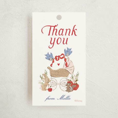 Baby Shower Favor Tags