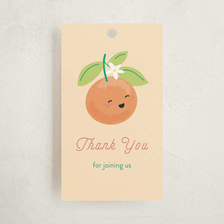 Baby Shower Favor Tags