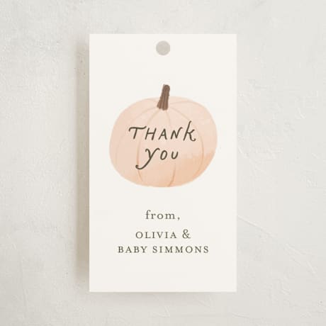 Baby Shower Favor Tags