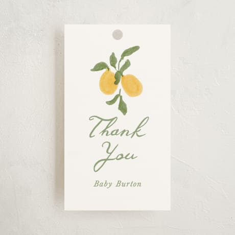 Baby Shower Favor Tags