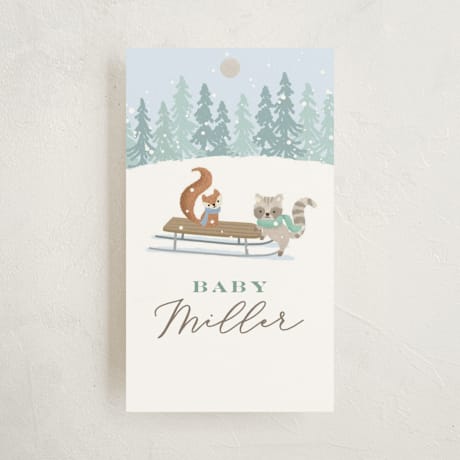 Baby Shower Favor Tags