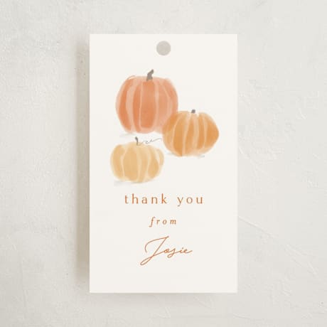 Baby Shower Favor Tags