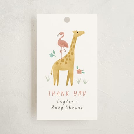 Baby Shower Favor Tags