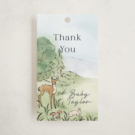 Baby Shower Favor Tags