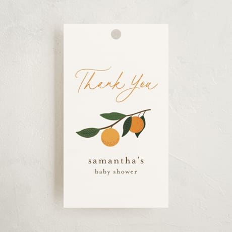 Baby Shower Favor Tags