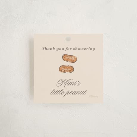 Baby Shower Favor Tags