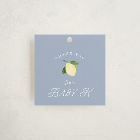 Baby Shower Favor Tags
