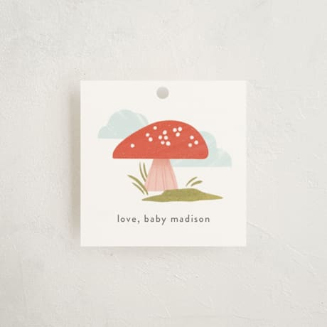 Baby Shower Favor Tags