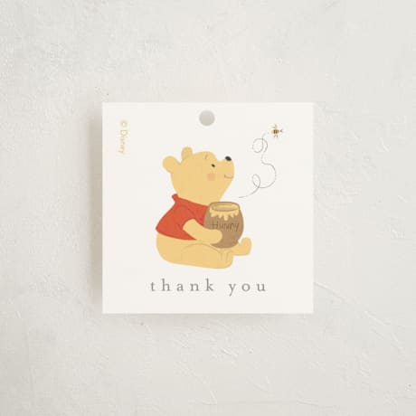 Baby Shower Favor Tags