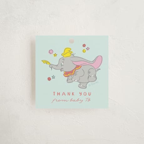 Baby Shower Favor Tags
