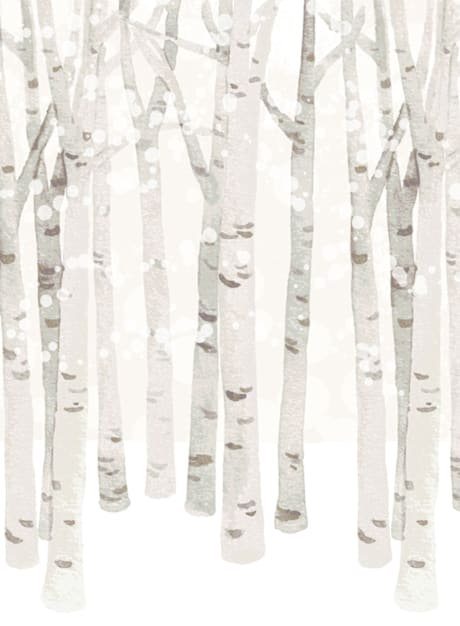 Children's Wall Mural